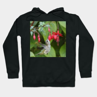 Hummingbird fuchsias Hoodie